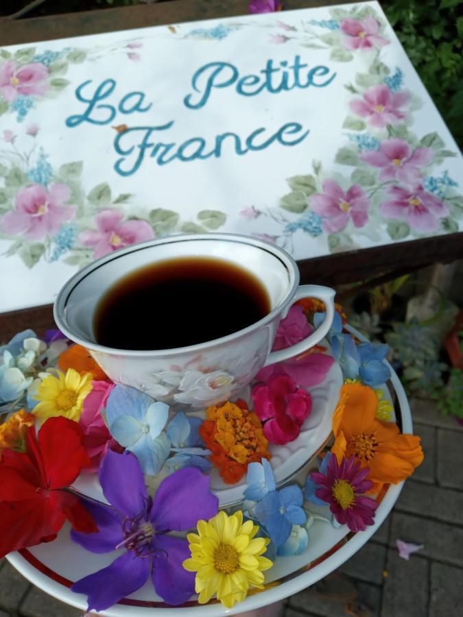 La Petite France Hotel โนวา เปโตรโปลิส ภายนอก รูปภาพ
