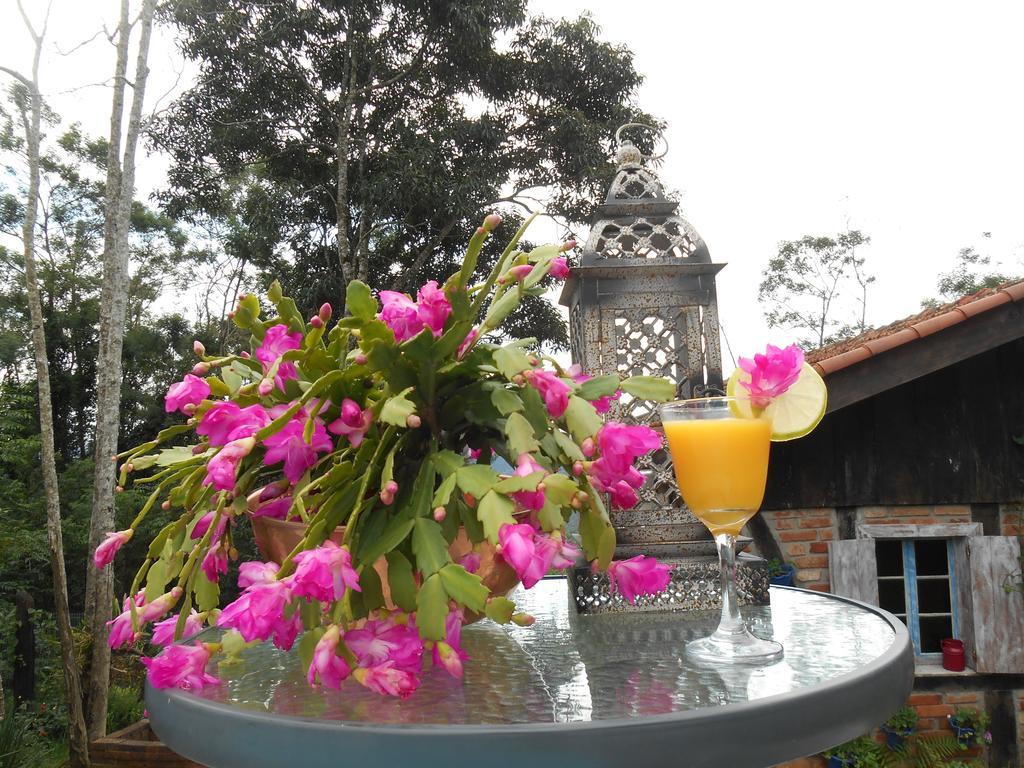 La Petite France Hotel โนวา เปโตรโปลิส ภายนอก รูปภาพ