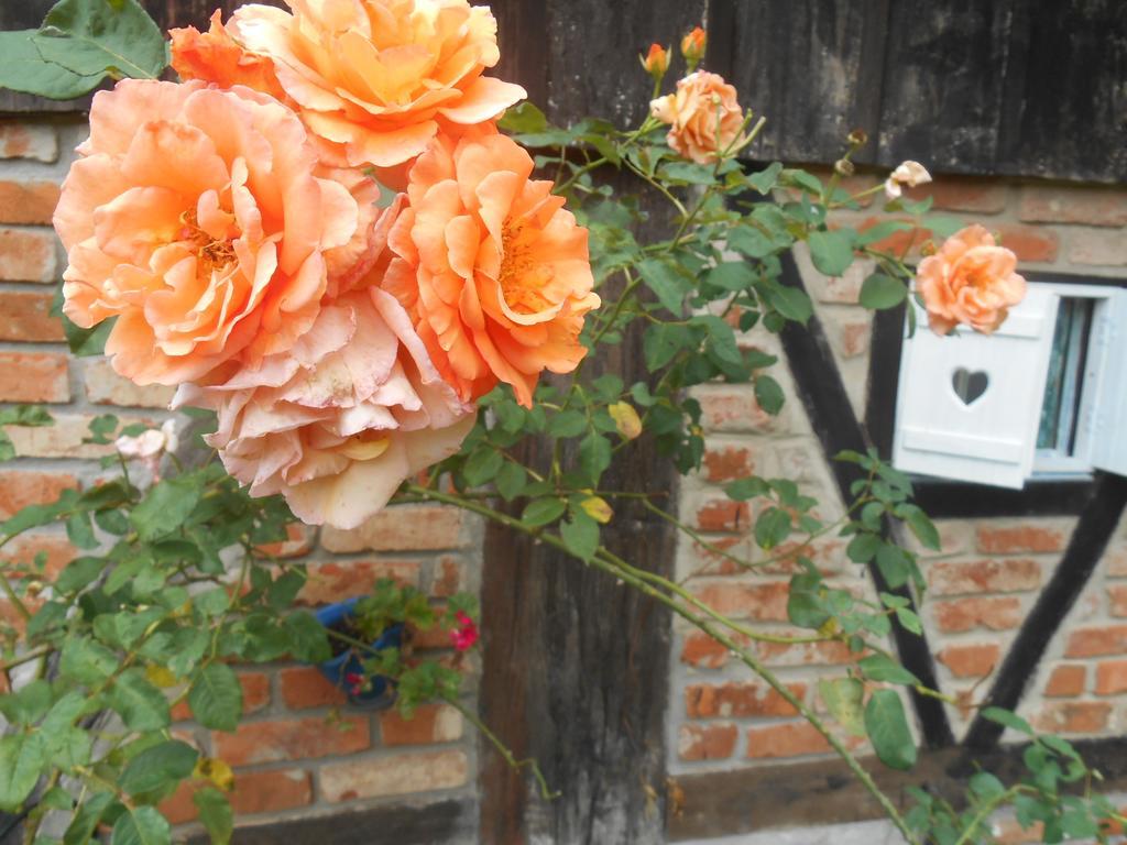 La Petite France Hotel โนวา เปโตรโปลิส ภายนอก รูปภาพ
