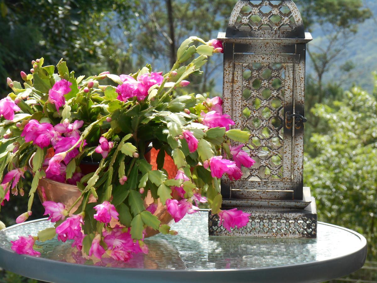 La Petite France Hotel โนวา เปโตรโปลิส ภายนอก รูปภาพ